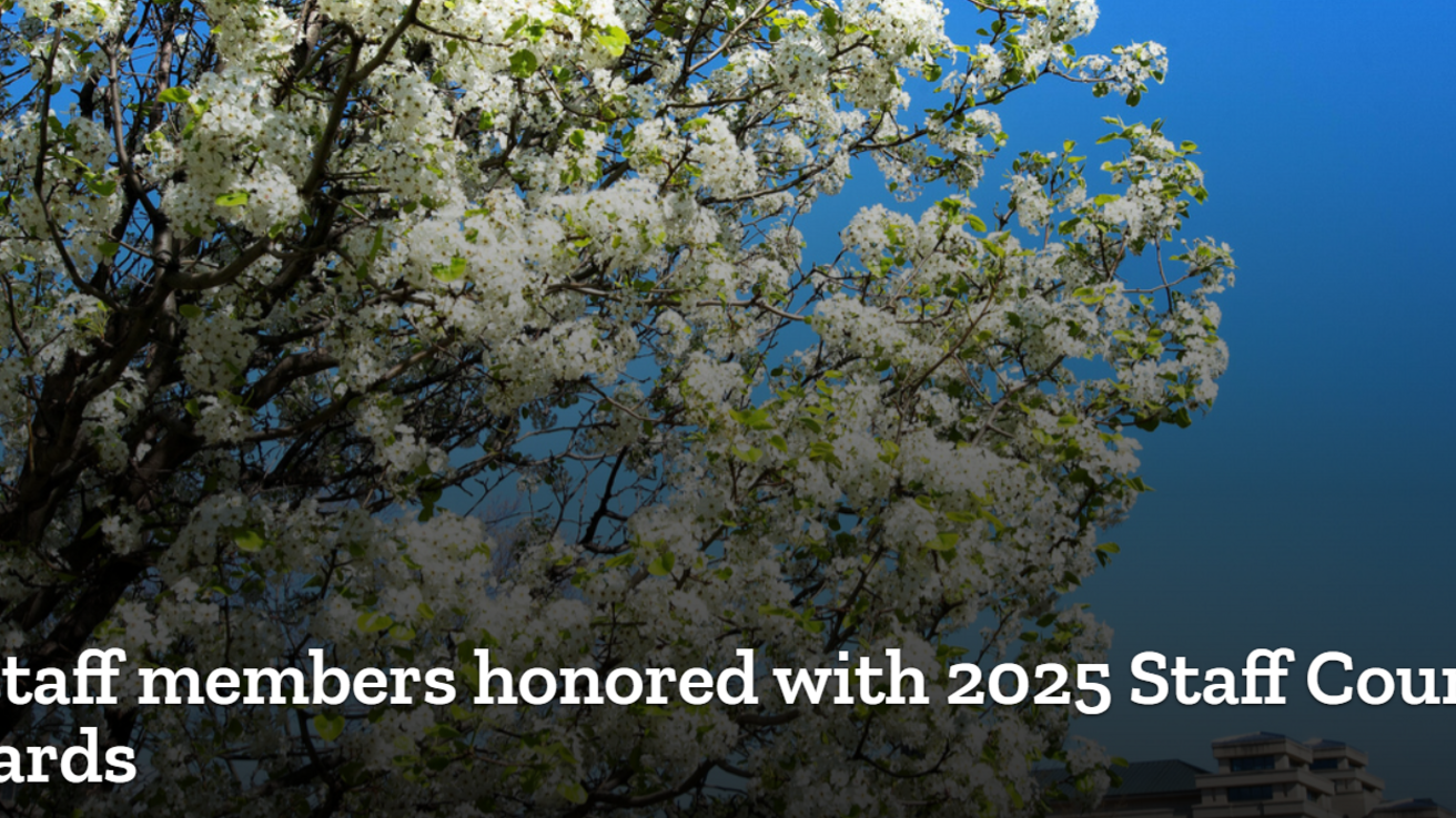 UI Staff Excellence Awards Are Announced in Spring 2025